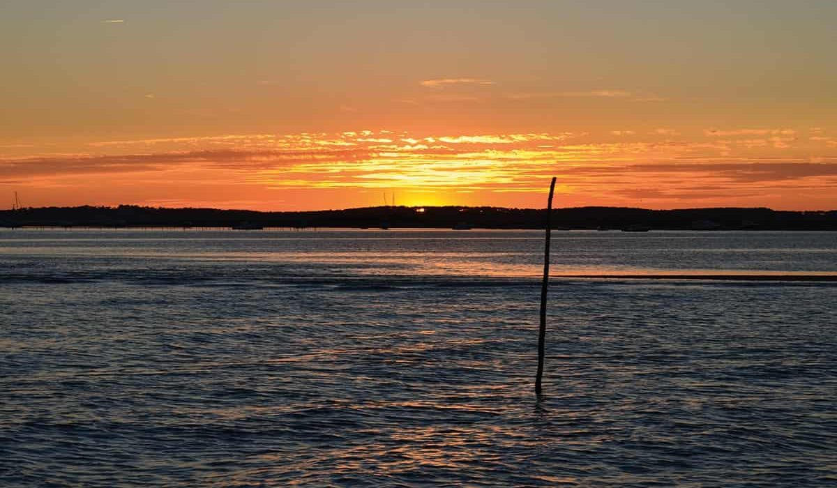 balade-pinasse-coucher-du-soleil3